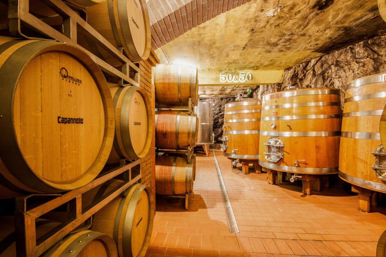 Capannelle Wine Resort Gaiole in Chianti Luaran gambar
