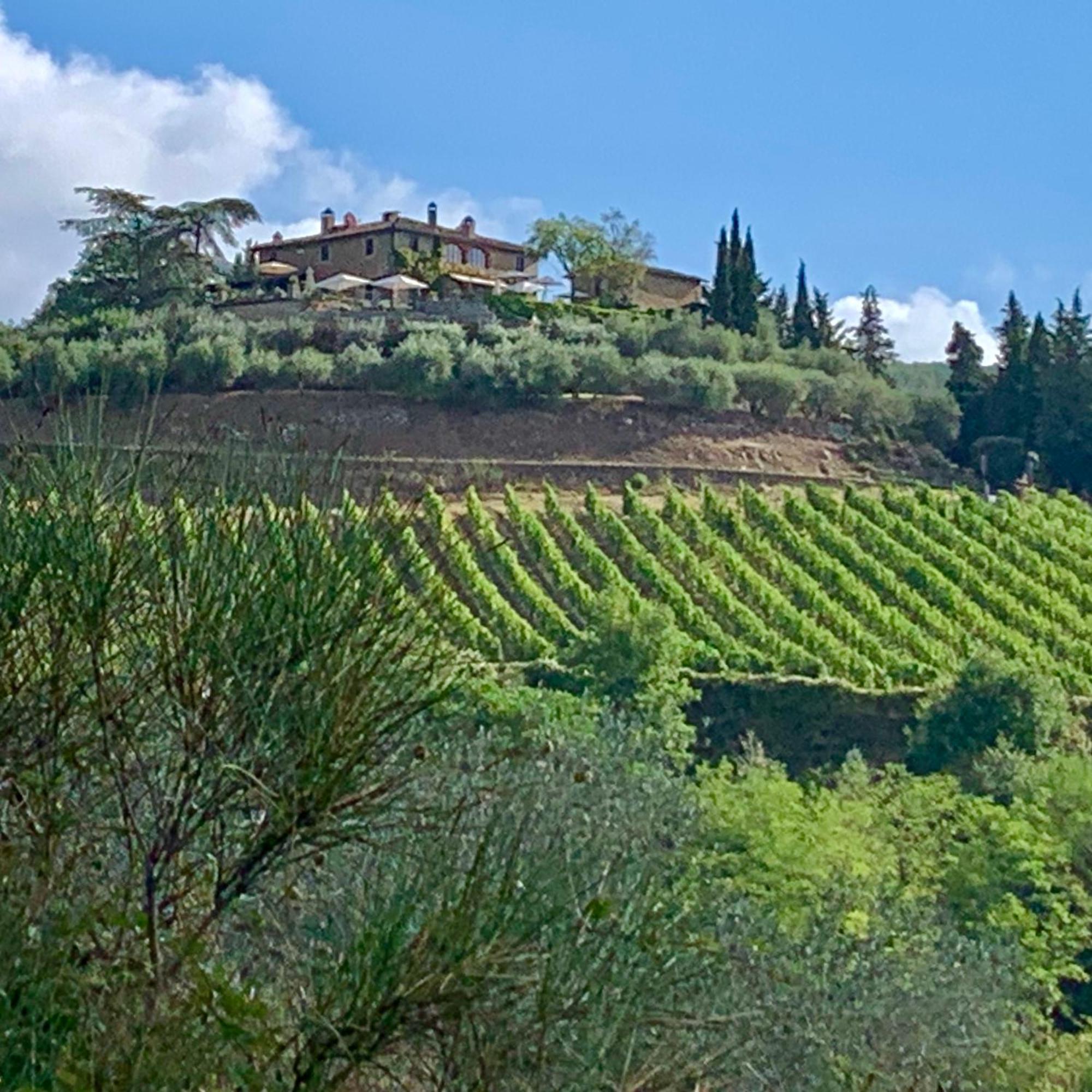 Capannelle Wine Resort Gaiole in Chianti Luaran gambar